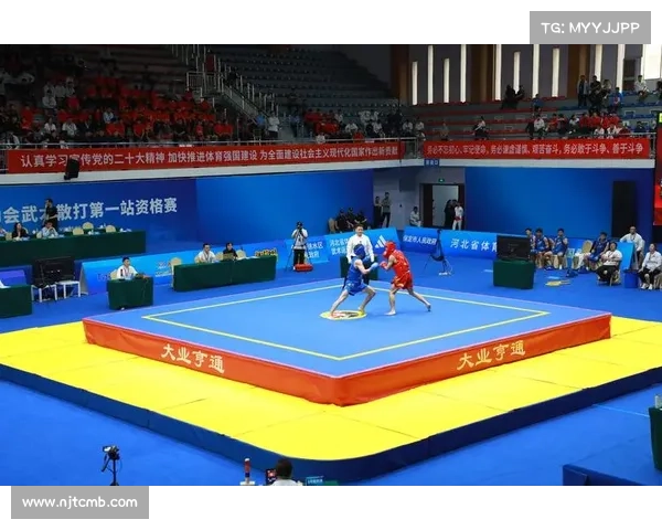 散打国际赛事有哪些