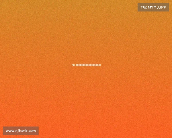 NH战队豪取世界赛亚军惜败对手憾失冠军